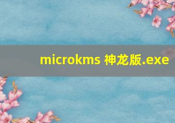 microkms 神龙版.exe